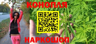 прущие грибы Пушкино