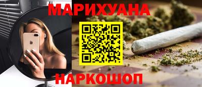 прущие грибы Пушкино